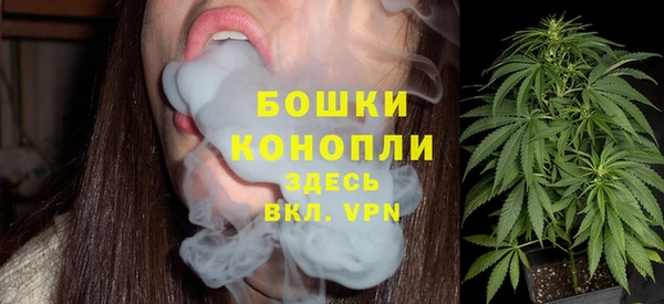 ешки Арсеньев