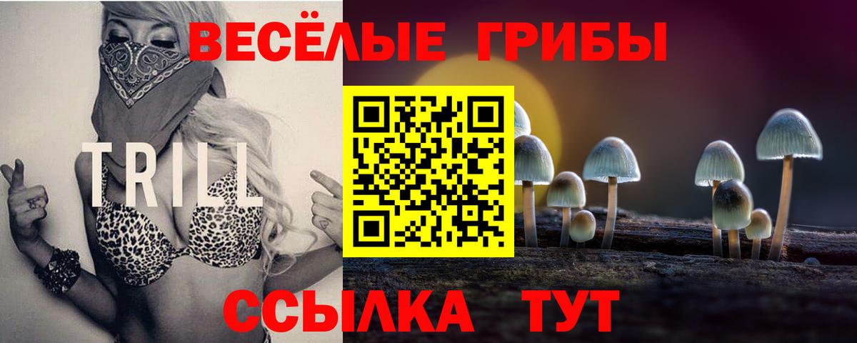 Нефтекамск  Псилоцибиновые грибы GOLDEN TEACHER  Галлюциногенные грибы ЛСД  Вход с VPN 